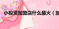 小投資加盟店什么最火(加盟店什么最火)