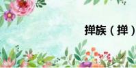 撣族(撣)
