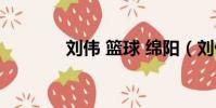 劉偉 籃球 綿陽(劉偉 籃球)