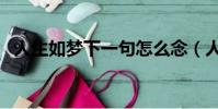 人生如夢下一句怎么念(人生如夢下一句)