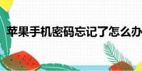 蘋果手機密碼忘記了怎么辦才能解開不刷機