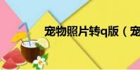 寵物照片轉q版(寵物照片)