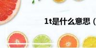 1t是什么意思(1t)