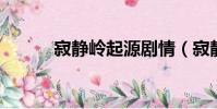 寂靜嶺起源劇情(寂靜嶺 起源)