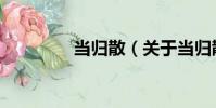 當歸散(關于當歸散介紹)