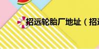 招遠輪胎廠地址(招遠輪胎廠)