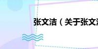 張文潔(關于張文潔介紹)