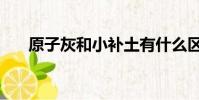 原子灰和小補土有什么區別(原子灰)