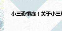 小三恐懼癥(關于小三恐懼癥簡介)