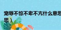 寵辱不驚不卑不亢什么意思(不卑不亢什么意思)