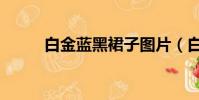 白金藍黑裙子圖片(白金藍黑裙)