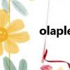olaplex3號使用方法（olap）