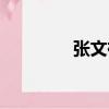 張文祥（關于張文祥介紹）