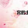 宮的主題曲（宮主題曲歌詞）