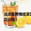 當涂縣黃梅戲演藝有限公司（關于當涂縣黃梅戲演藝有限公司介紹）