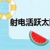 射電活躍太陽（關于射電活躍太陽簡介）