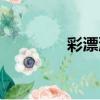 彩漂液（關于彩漂液介紹）