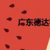 廣東德達實業有限公司（廣州達德）