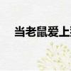 當老鼠愛上貓（關于當老鼠愛上貓介紹）