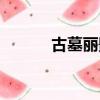 古墓麗影暗影墓室（暗影墓穴）