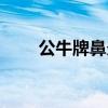 公牛牌鼻炎靈膠囊（公牛牌鼻炎靈）
