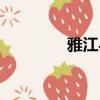 雅江縣城海拔（雅江海拔）