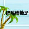 碎嘴糟糠是什么意思（糟糠是什么意思）