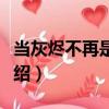 當灰燼不再是灰燼（關于當灰燼不再是灰燼介紹）