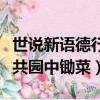 世說新語德行管寧華歆共園中鋤菜（管寧華歆共園中鋤菜）