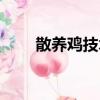 散養雞技術培訓視頻（散養雞技術）