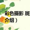彩色攝影 斑斕鏡頭（關于彩色攝影 斑斕鏡頭介紹）