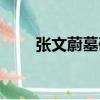 張文蔚墓碑（關于張文蔚墓碑介紹）