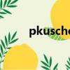 pkuschool怎么讀（pkuschool）