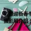 彩墨迎新春書畫攝影展（關于彩墨迎新春書畫攝影展介紹）