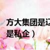 方大集團是遼寧的嗎（遼寧方大集團是國企還是私企）