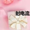 射電流量（關于射電流量簡介）