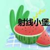 射線小堡壘（關于射線小堡壘簡介）