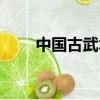 中國古武術修煉之法（中國古武術）