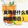 臭嗨是什么意思網絡用語（嗨害嗨是什么意思網絡用語）