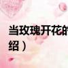 當玫瑰開花的時候（關于當玫瑰開花的時候介紹）