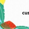 customize（custom）