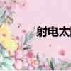 射電太陽（關于射電太陽簡介）