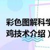 彩色圖解科學養雞技術（關于彩色圖解科學養雞技術介紹）