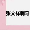 張文祥刺馬案（關于張文祥刺馬案介紹）