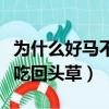 為什么好馬不吃回頭草八個字（為什么好馬不吃回頭草）