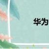 華為c2857（華為c2808）