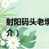 射陽碼頭老墩遺址（關于射陽碼頭老墩遺址簡介）