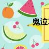 鬼泣3 鬼泣4（鬼泣3配置）