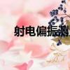 射電偏振測量（關于射電偏振測量簡介）