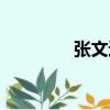 張文進（關于張文進介紹）